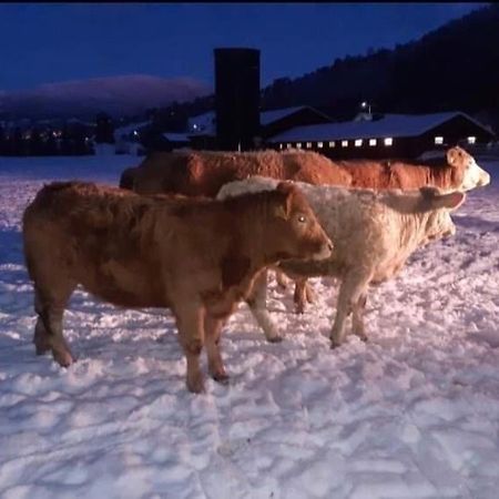 Skjeggestad Gjestehus Ringebu Esterno foto